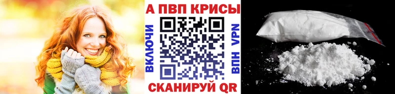 А ПВП крисы CK  Бородино 