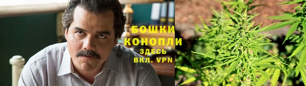 шишки Воткинск