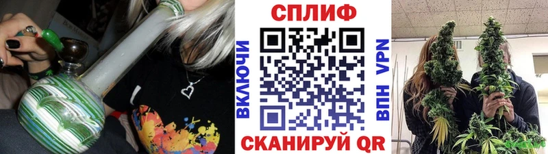 закладка  Бородино  МАРИХУАНА планчик 